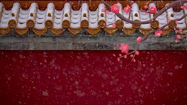故宫的雪意境背景视频视频的预览图